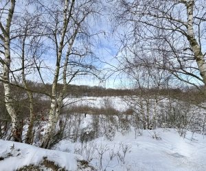 Fingertips & DaumenGrün 01/2026 - Foto: Kai de Barse