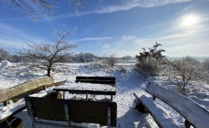 Das Projekt FingerTips & DaumenGrün in Rethorn