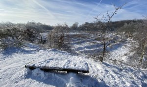 Das Projekt FingerTips & DaumenGrün in Rethorn