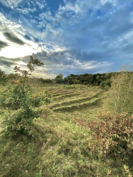 Das Projekt FingerTips & DaumenGrün in Rethorn