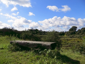 Das Projekt FingerTips & DaumenGrün in Rethorn