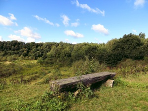 Das Projekt FingerTips & DaumenGrün in Rethorn