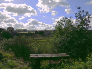 Das Projekt FingerTips & DaumenGrün in Rethorn