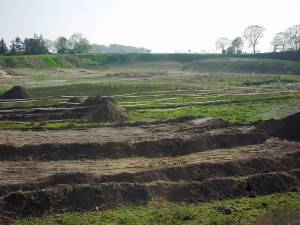 Das Projekt FingerTips & DaumenGrün in Rethorn