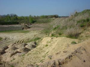 Das Projekt FingerTips & DaumenGrün in Rethorn