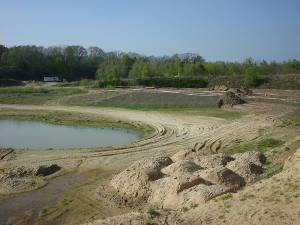 Das Projekt FingerTips & DaumenGrün in Rethorn