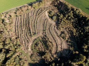 Das Projekt FingerTips & DaumenGrün in Rethorn