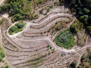 Das Projekt FingerTips & DaumenGrün in Rethorn