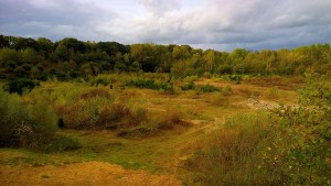 Das Projekt FingerTips & DaumenGrün in Rethorn