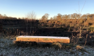 Das Projekt FingerTips & DaumenGrün in Rethorn