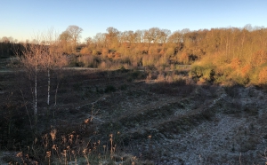 Das Projekt FingerTips & DaumenGrün in Rethorn