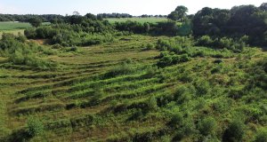 Das Projekt FingerTips & DaumenGrün in Rethorn