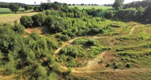 Das Projekt FingerTips & DaumenGrün in Rethorn