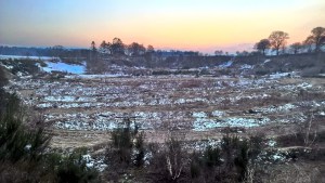 Das Projekt FingerTips & DaumenGrün in Rethorn