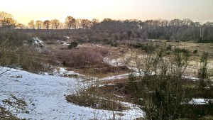 Das Projekt FingerTips & DaumenGrün in Rethorn