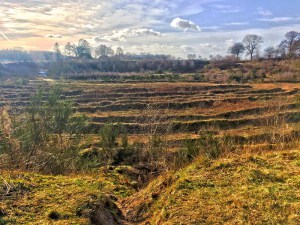 Das Projekt FingerTips & DaumenGrün in Rethorn