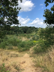 Das Projekt FingerTips & DaumenGrün in Rethorn