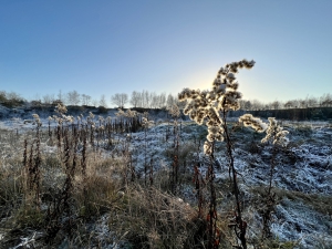 Das Projekt FingerTips & DaumenGrün in Rethorn