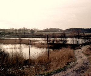 11-1967-Ziegelweg
