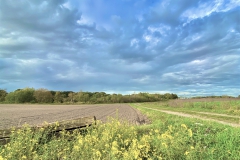 Impressionen vom Rethorner Feld