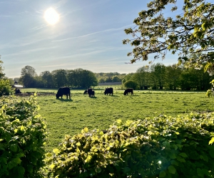 Impressionen vom Rethorner Feld