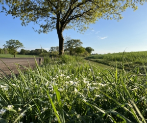 Impressionen vom Rethorner Feld
