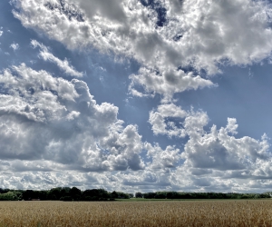 Impressionen vom Rethorner Feld