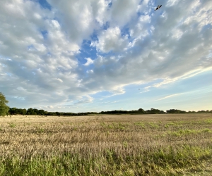 Impressionen vom Rethorner Feld