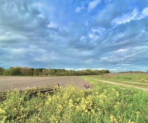 Impressionen vom Rethorner Feld