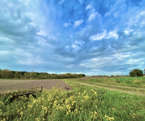 Impressionen vom Rethorner Feld