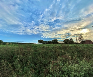 Impressionen vom Rethorner Feld