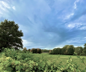 Impressionen vom Rethorner Feld