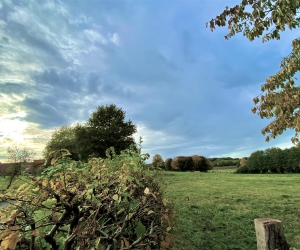 Impressionen vom Rethorner Feld