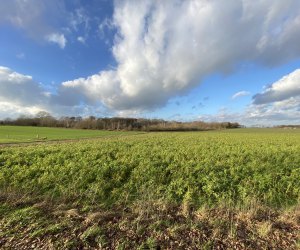 Impressionen vom Rethorner Feld