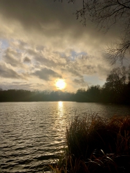 Stimmungsbild am Kamerner See