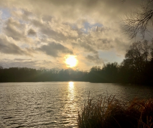 Stimmungsbild am Kamerner See