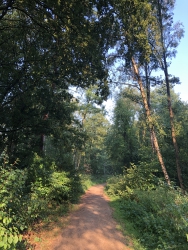 Rundweg um den Kamerner See (Am Tonstich)