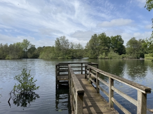 Der Kamerner See im Mai 2025