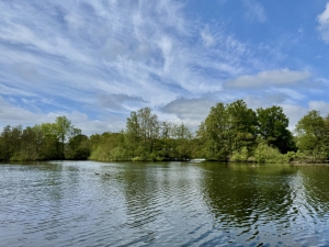 Der Kamerner See im Mai 2025