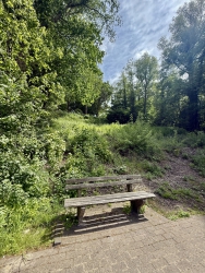 Der Kamerner See im Mai 2025 - Blick auf die Aussichtsplattform am Hohenkamp