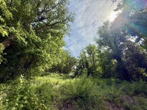 Der Kamerner See im Mai 2025 - Blick auf die Aussichtsplattform am Hohenkamp