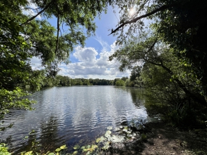 Der Kamerner See im Sommer 2024