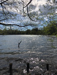 Der Kamerner See in Rethorn