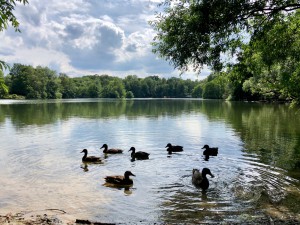 Der Kamerner See in Rethorn
