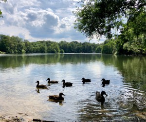 Der Kamerner See in Rethorn