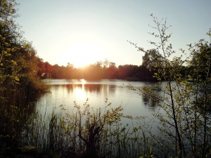 Der Kamerner See in Rethorn