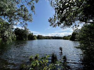 Der Kamerner See in Rethorn