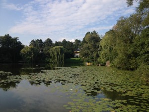 Der Kamerner See in Rethorn