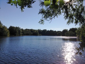 Der Kamerner See in Rethorn