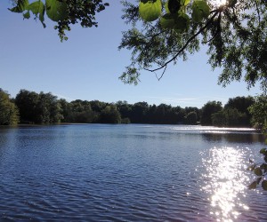 Der Kamerner See in Rethorn